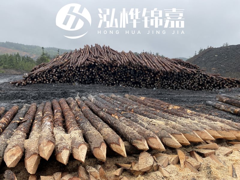 6米長(zhǎng)松木樁有哪些作用，多少錢(qián)一根？