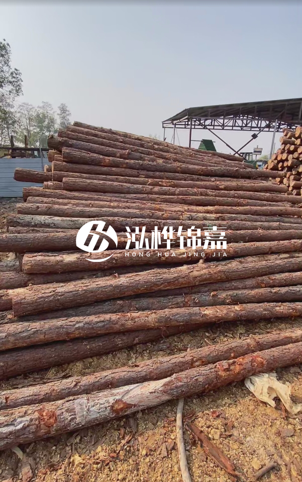 岳陽松木樁源頭廠家-河道木樁護岸能否抵御洪水沖擊？