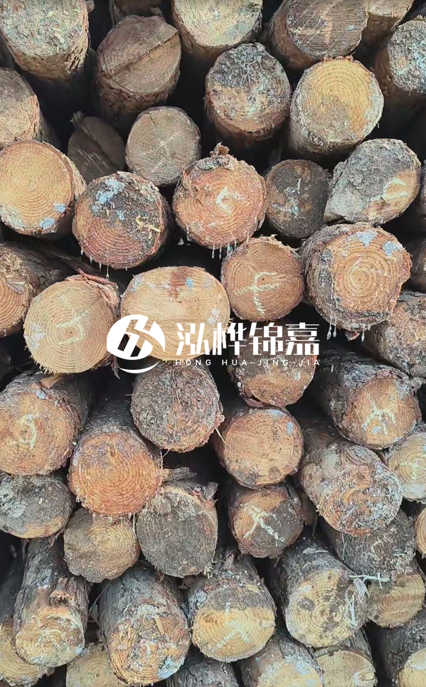 邵陽松木樁源頭廠家-松木樁護岸適合哪些地理環境？