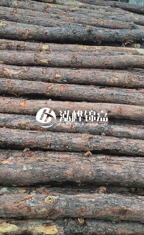 陽江松木樁源頭廠家-哪一種打樁木最便宜?