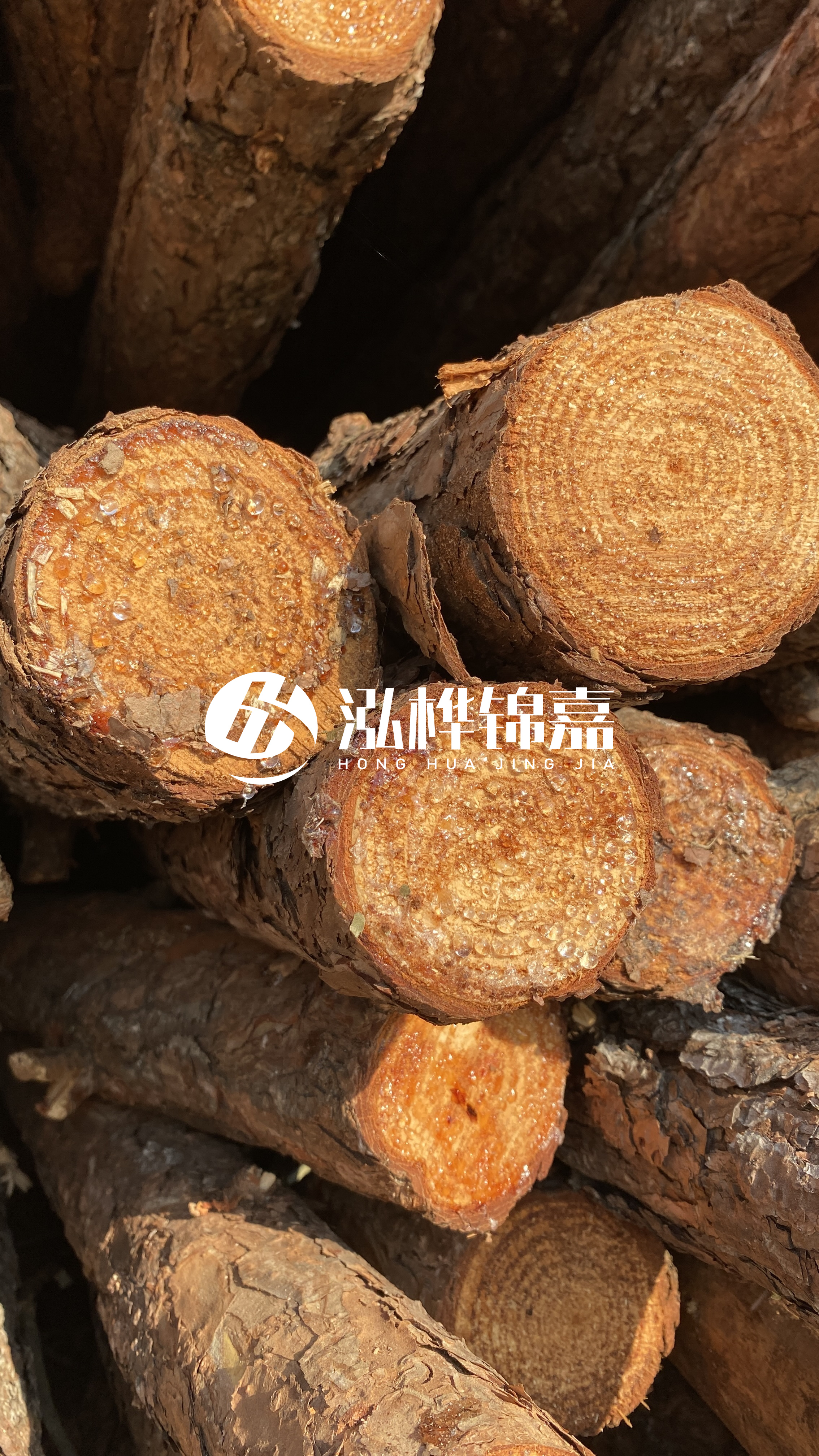 南充松木樁源頭廠家-木樁護坡優缺點有哪些?