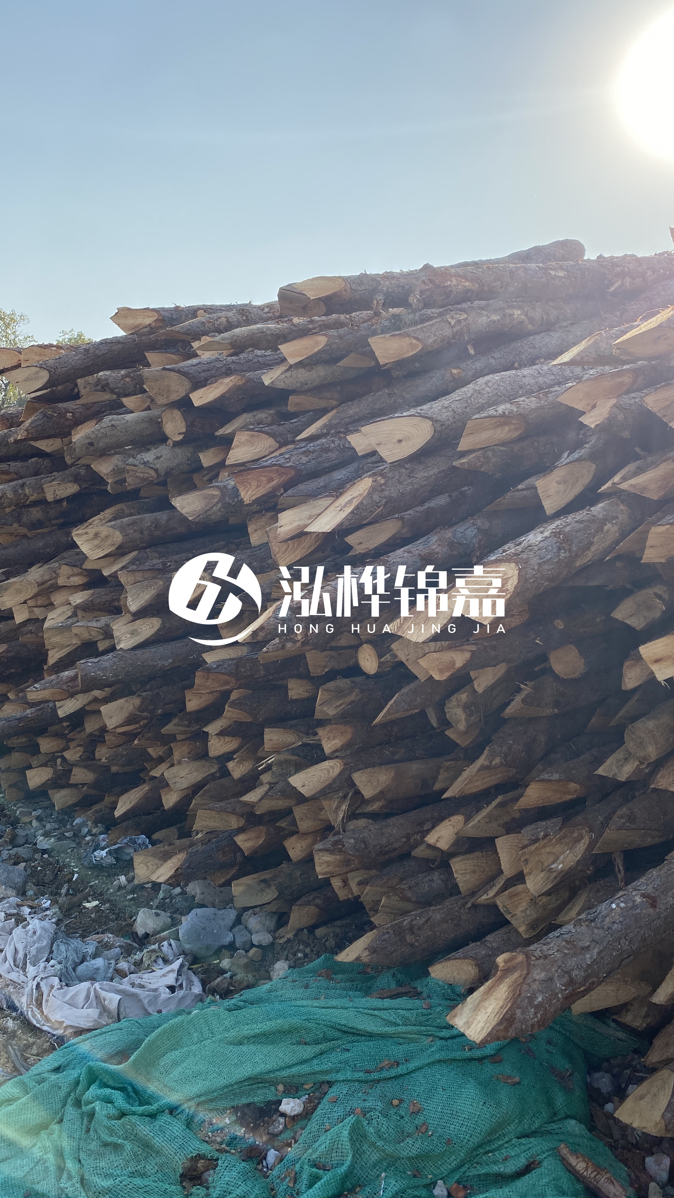 巴中松木樁源頭廠家-原木打樁木是否適合所有地質(zhì)條件？