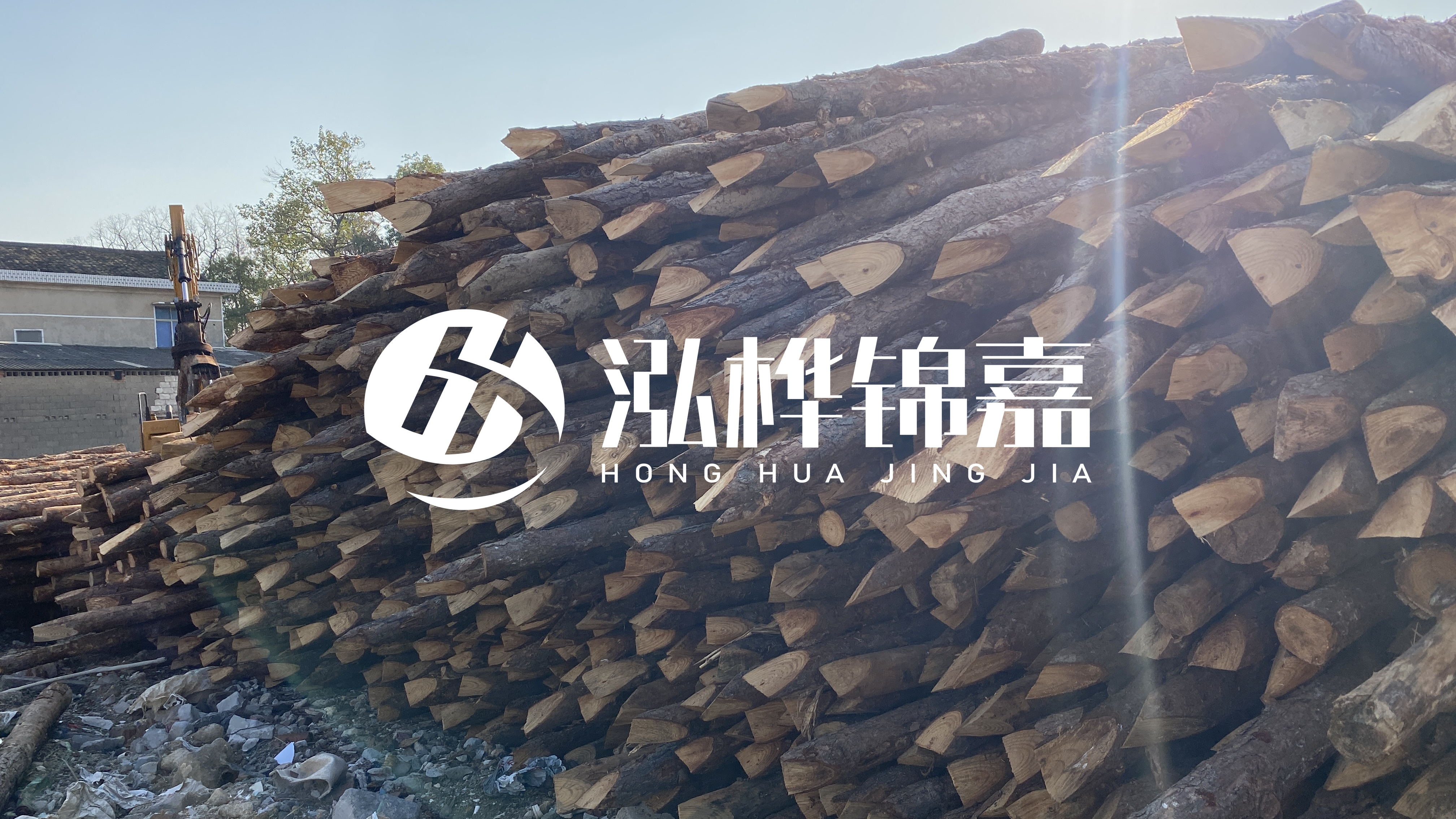 麗江松木樁源頭廠家-地基打松木樁的能撐幾年？