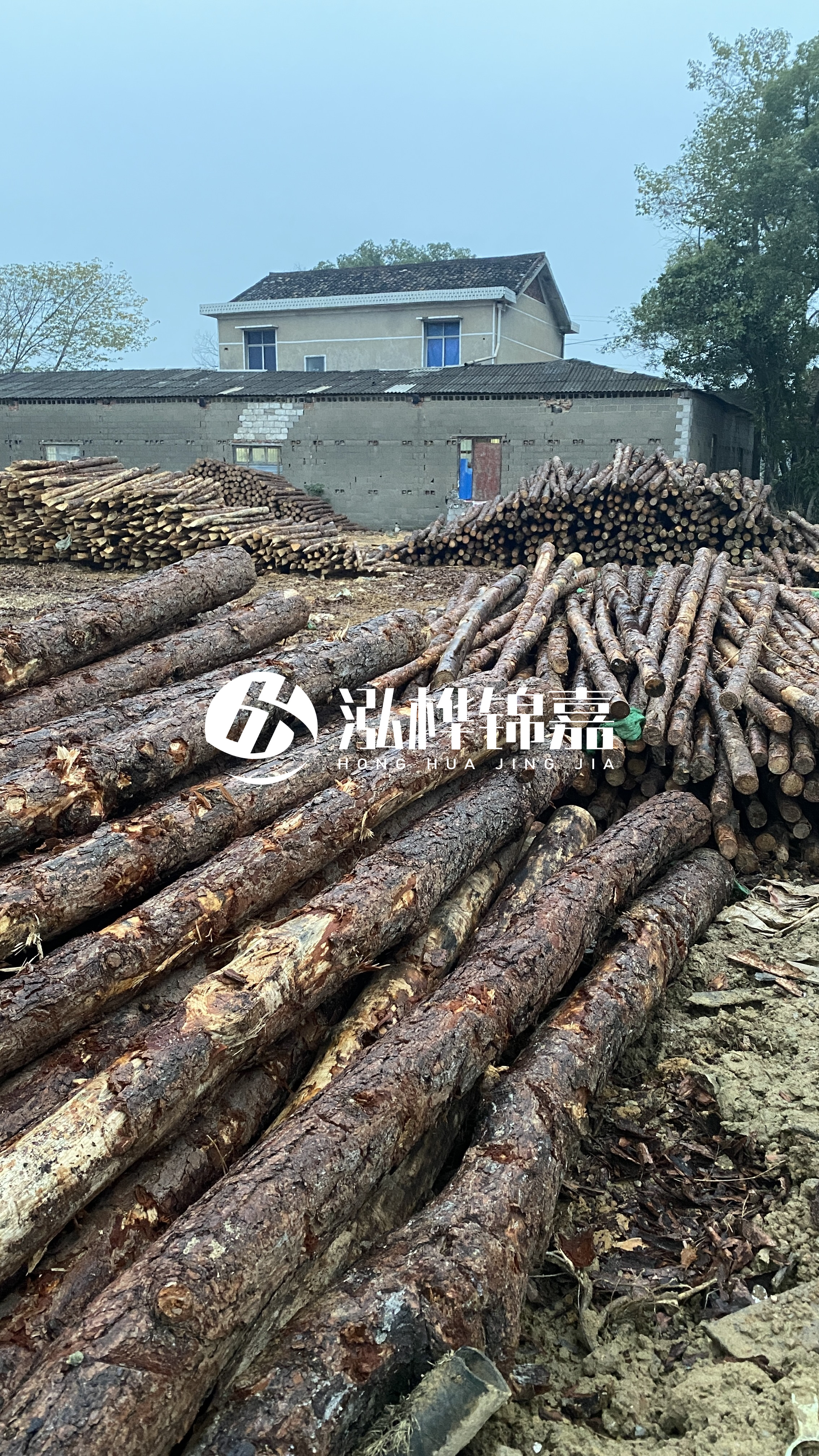 臨滄松木樁源頭廠家-油松打樁木的儲存條件有哪些要求？