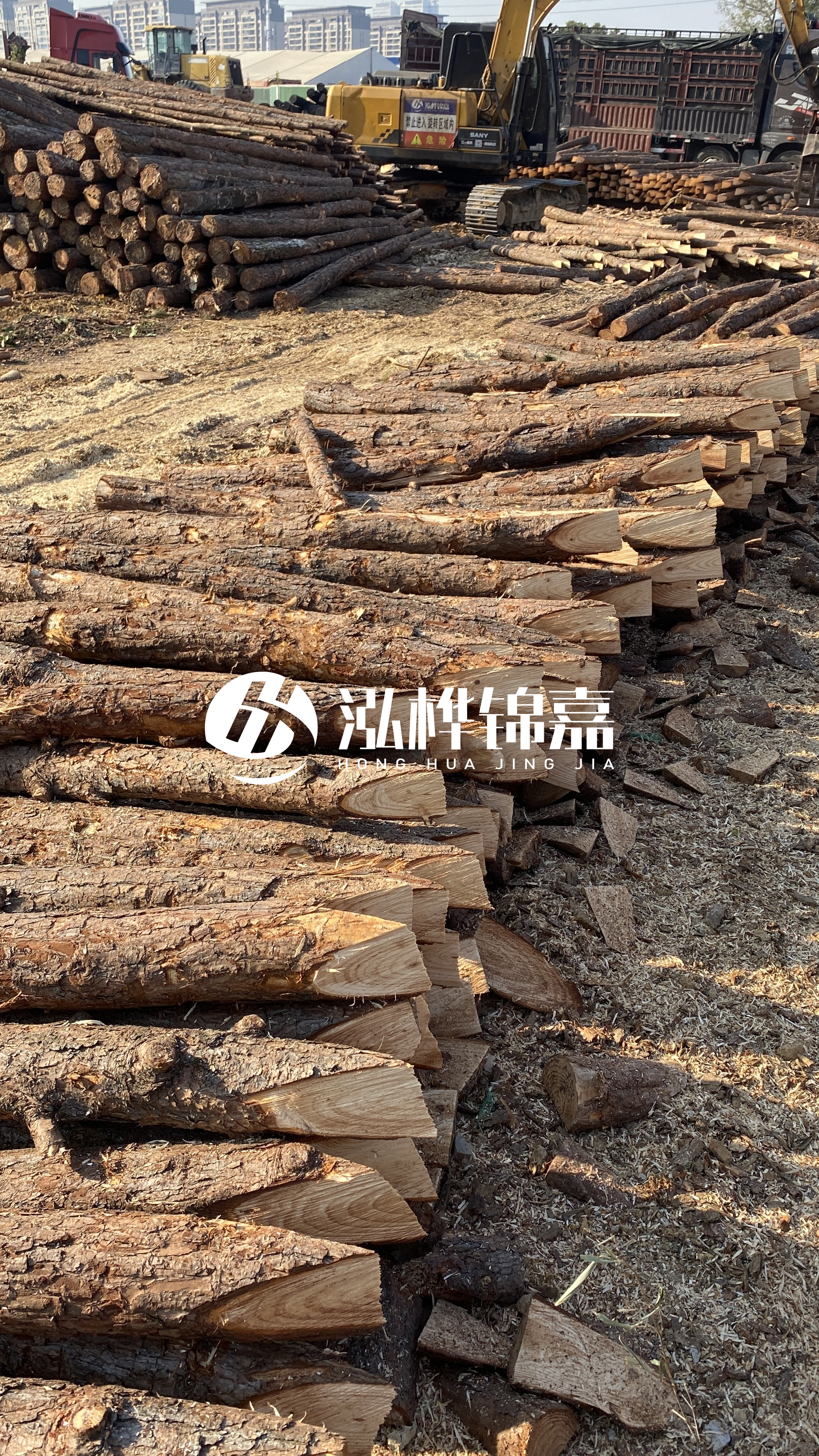 延安松木樁批發(fā)源頭廠家-杉木樁直徑按大頭算嗎？