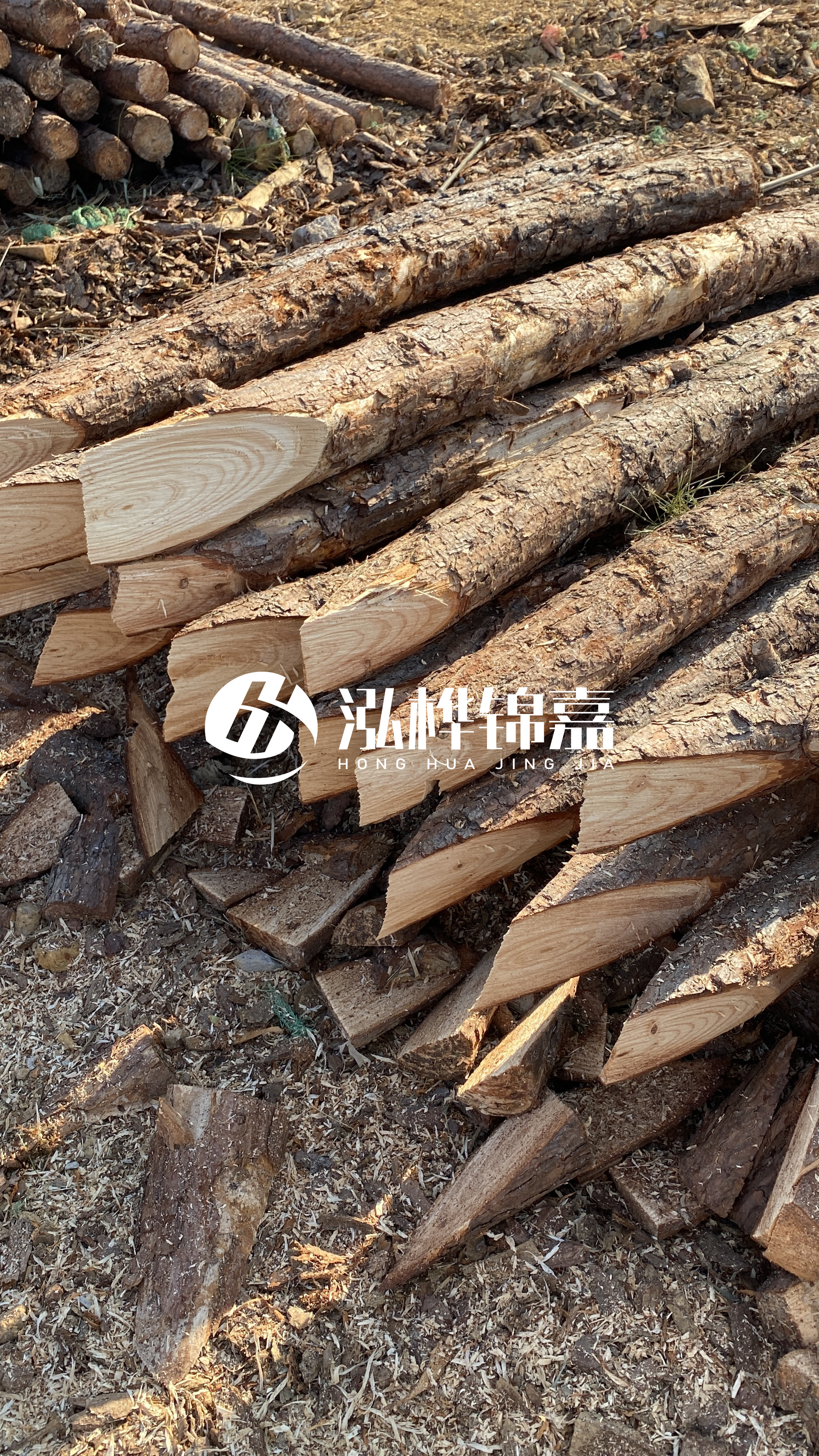 渭南松木樁批發(fā)源頭廠家-杉木樁4米小頭12公分大頭是多少？