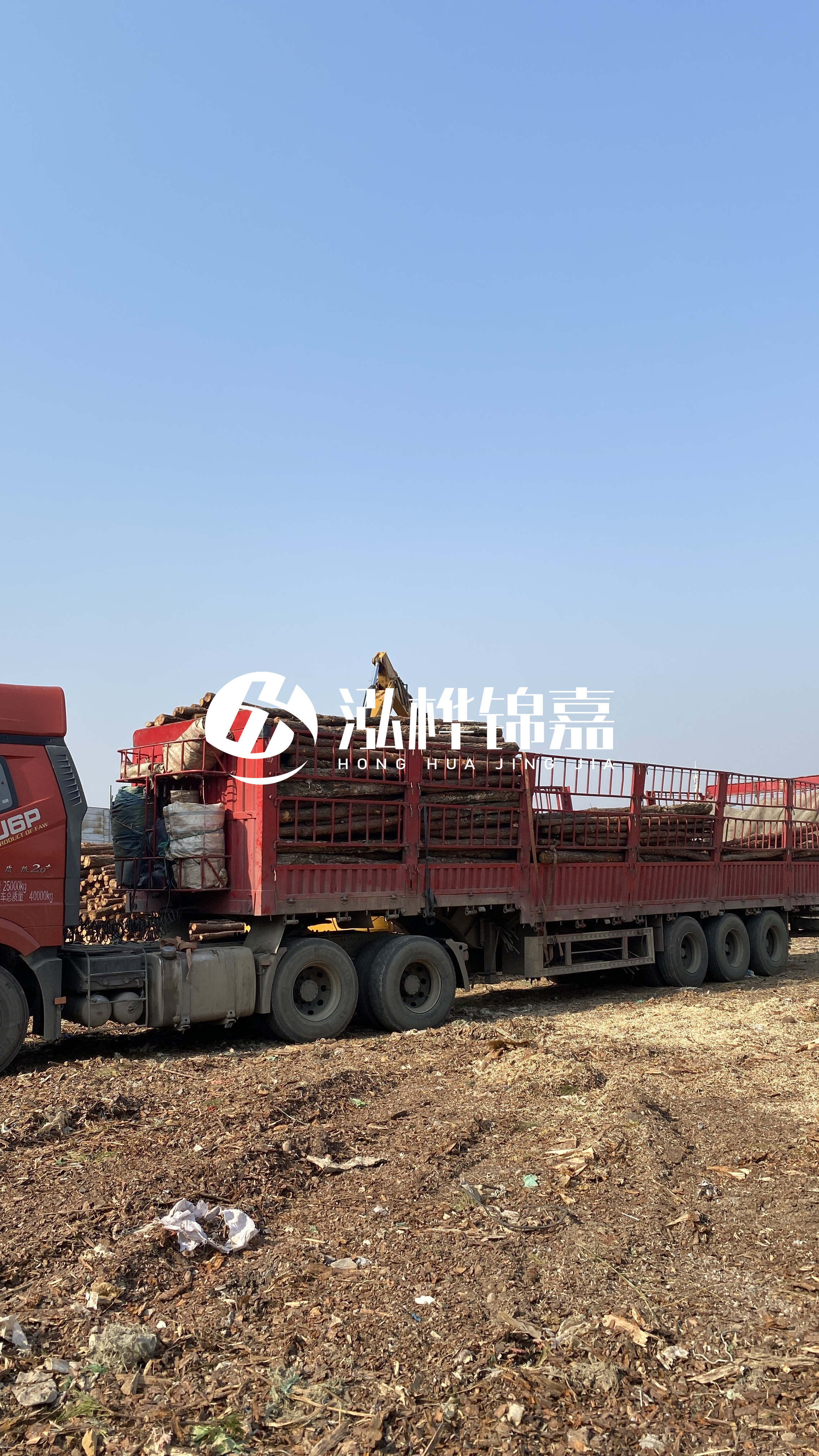 蘭州松木樁批發(fā)源頭廠家-落葉松與濕地松的主要區(qū)別？