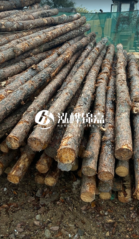 徐州松木樁批發源頭廠家-松木樁需要做防腐嗎？
