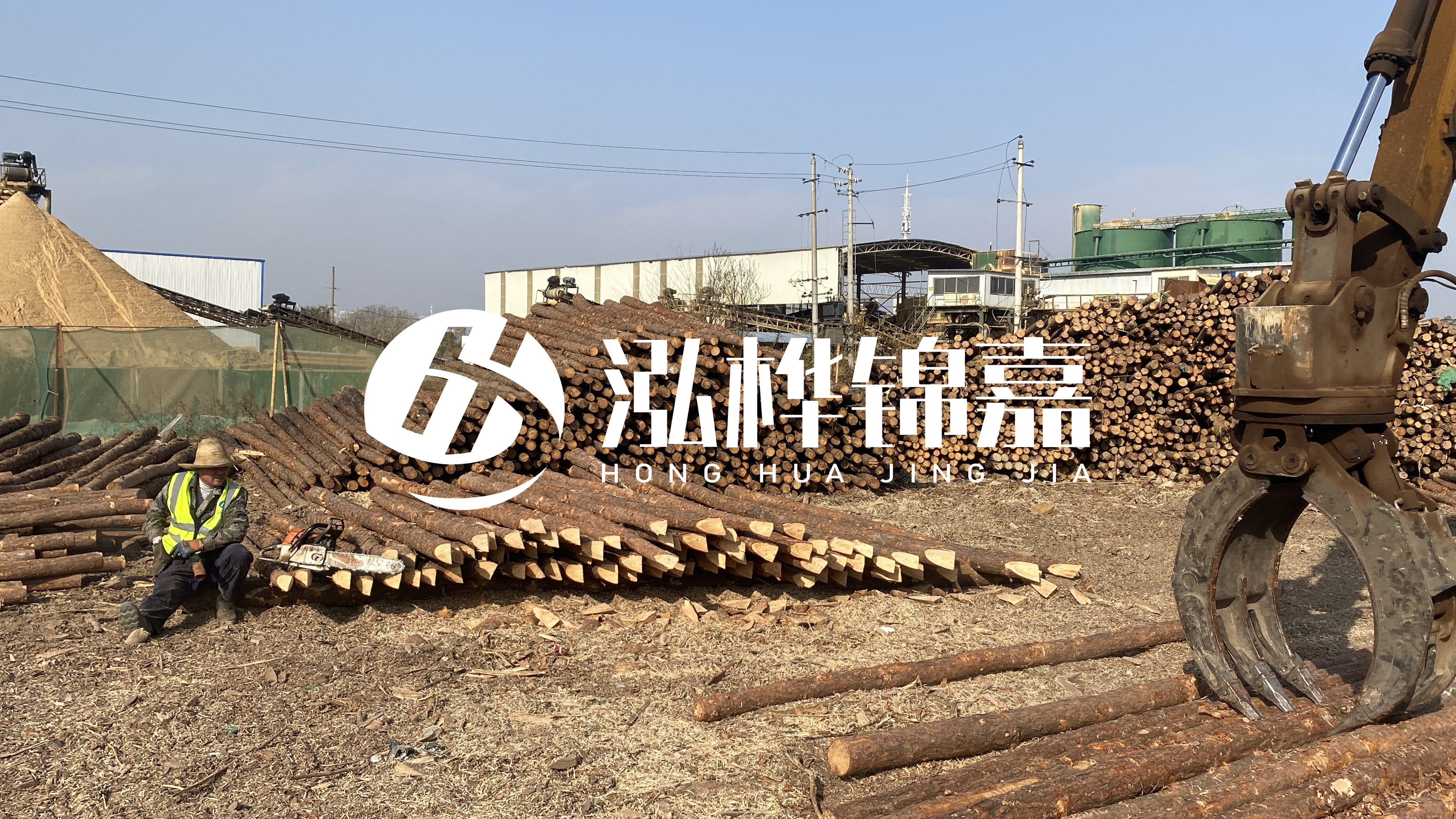 河道木材松木樁怎么選?松木樁源頭廠家告訴你!