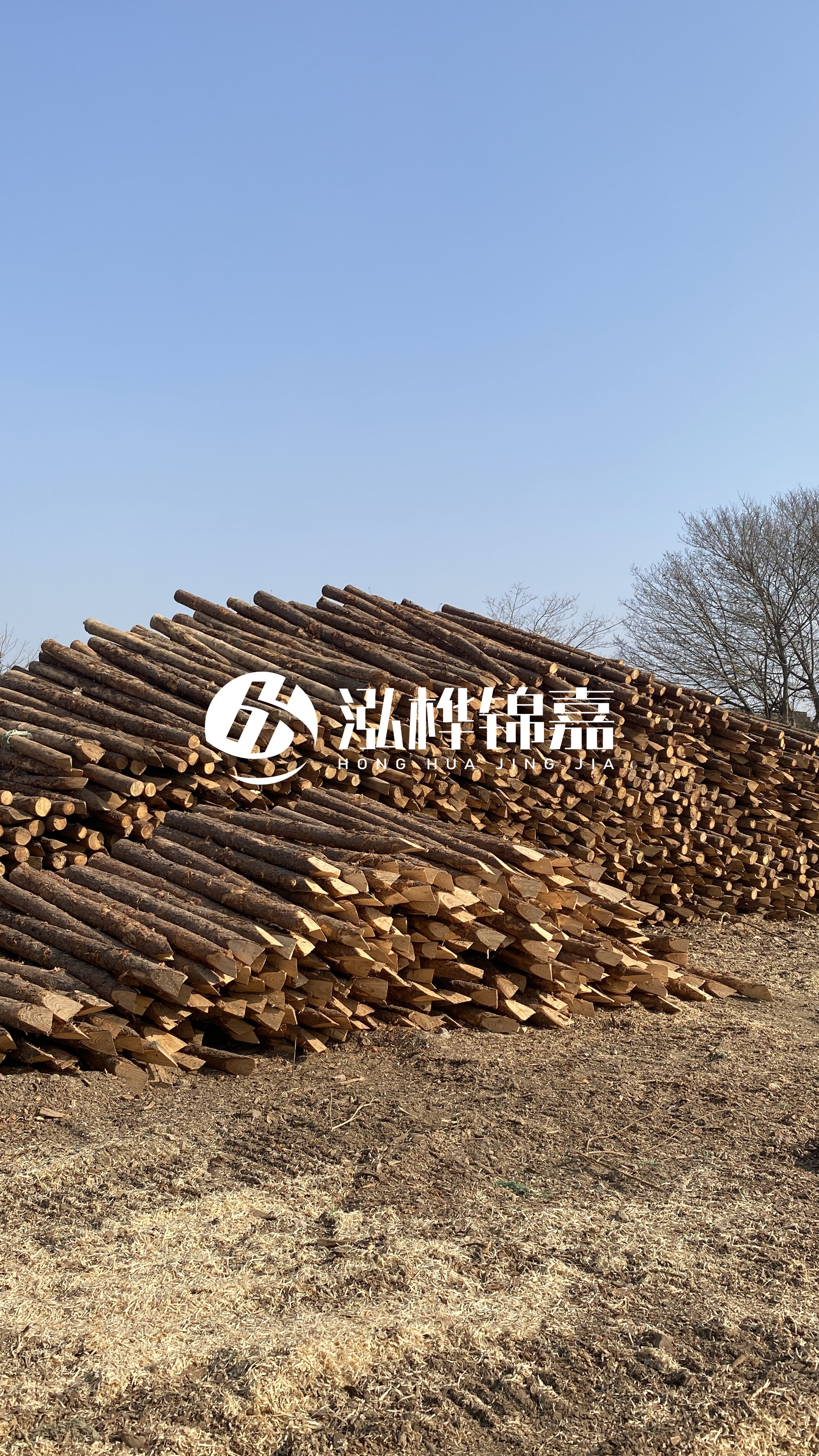 松木樁頭徑比尾徑大多少?計算方式是什么?