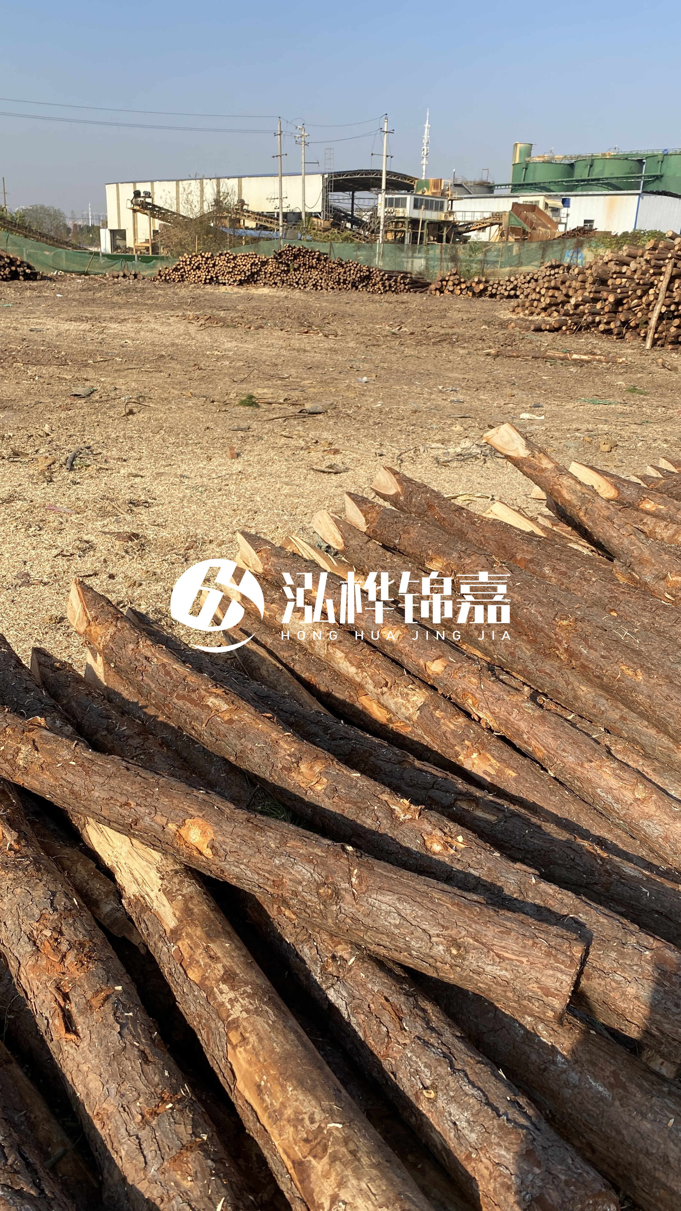 松木樁施工要找有資質的嗎?松木樁施工背后門道多,看完就懂了!