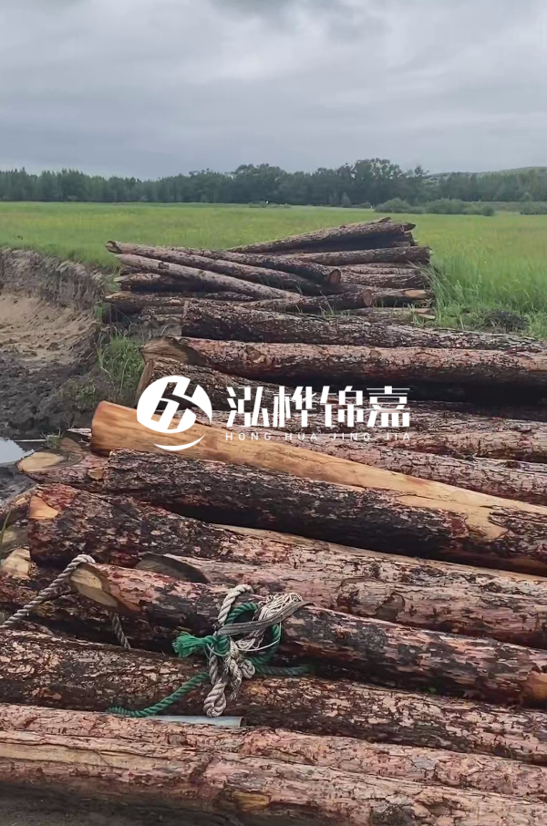 4米松木樁多少錢一根?松木樁預(yù)算單價怎么算的?