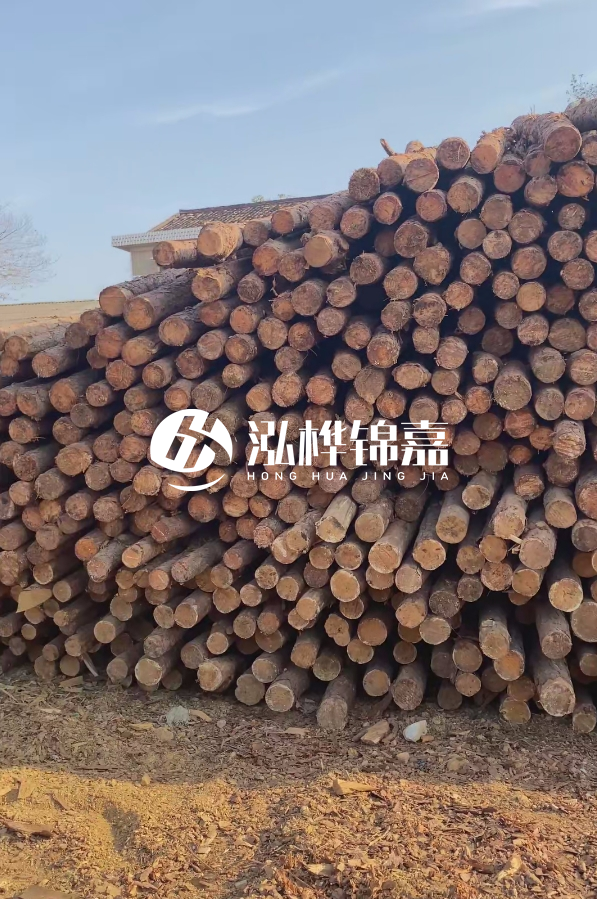 4米8-10公分松木樁大概多少錢一根?15公分價格又是多少?