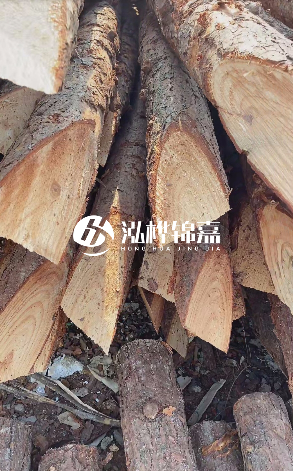 3米杉木樁梢頭12大頭多少?賣(mài)多少錢(qián)一根?