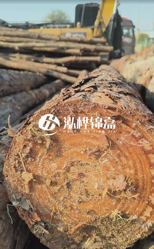 杉木樁價(jià)格多少錢(qián)一方-3米直徑14公分杉木樁價(jià)格?