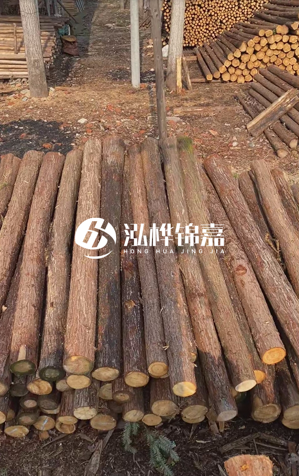 河道護(hù)坡選松木樁還是杉木樁？河道木樁一根多少錢？