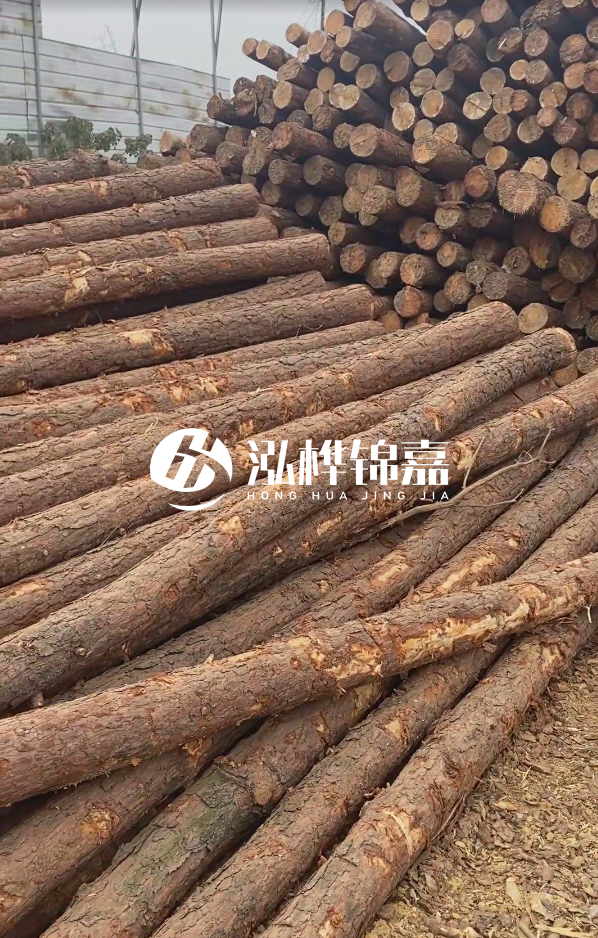 山西河道木樁護岸價格多少錢一米-每米河道打樁要花多少錢？