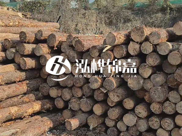 落葉松木材的主要產(chǎn)地在哪里?為什么比其他松木更耐腐蝕?