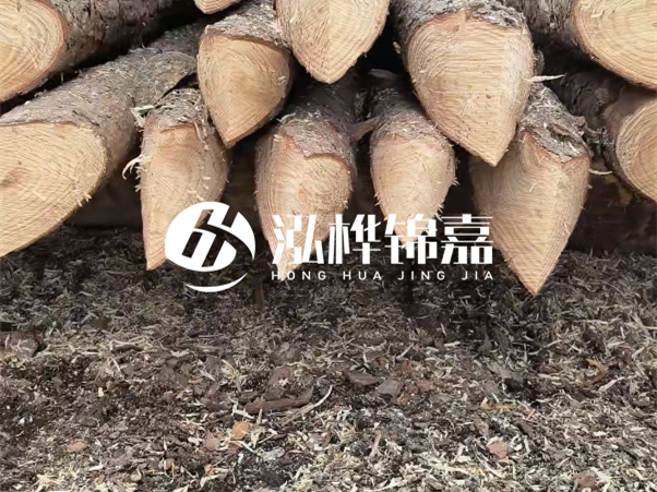 打樁木樁與鋼樁相比有哪些優(yōu)缺點(diǎn)?如何進(jìn)行后期維護(hù)?