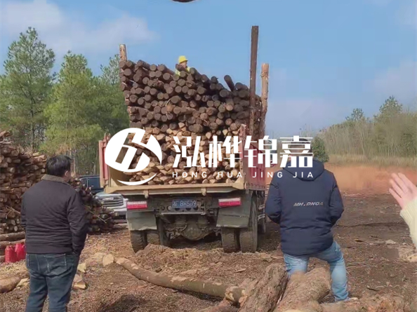 松木樁價(jià)格是按米算還是按根算?6米松木樁批發(fā)價(jià)每根多少錢?