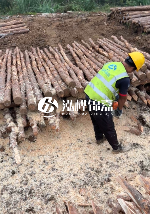 江蘇打樁木源頭廠家泓樺錦嘉-2.5米大頭10CM多少錢一根？