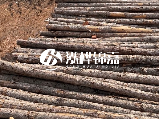 4.5 米松木樁多少錢一根?含稅價(jià)和不含稅價(jià)相差多少?