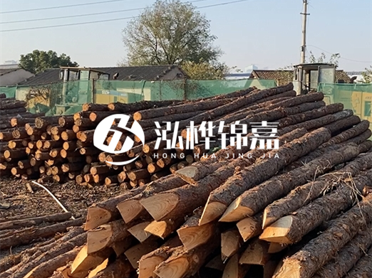 江西松木樁批發廠家泓樺錦嘉 - 松木廠家批發電話地址?