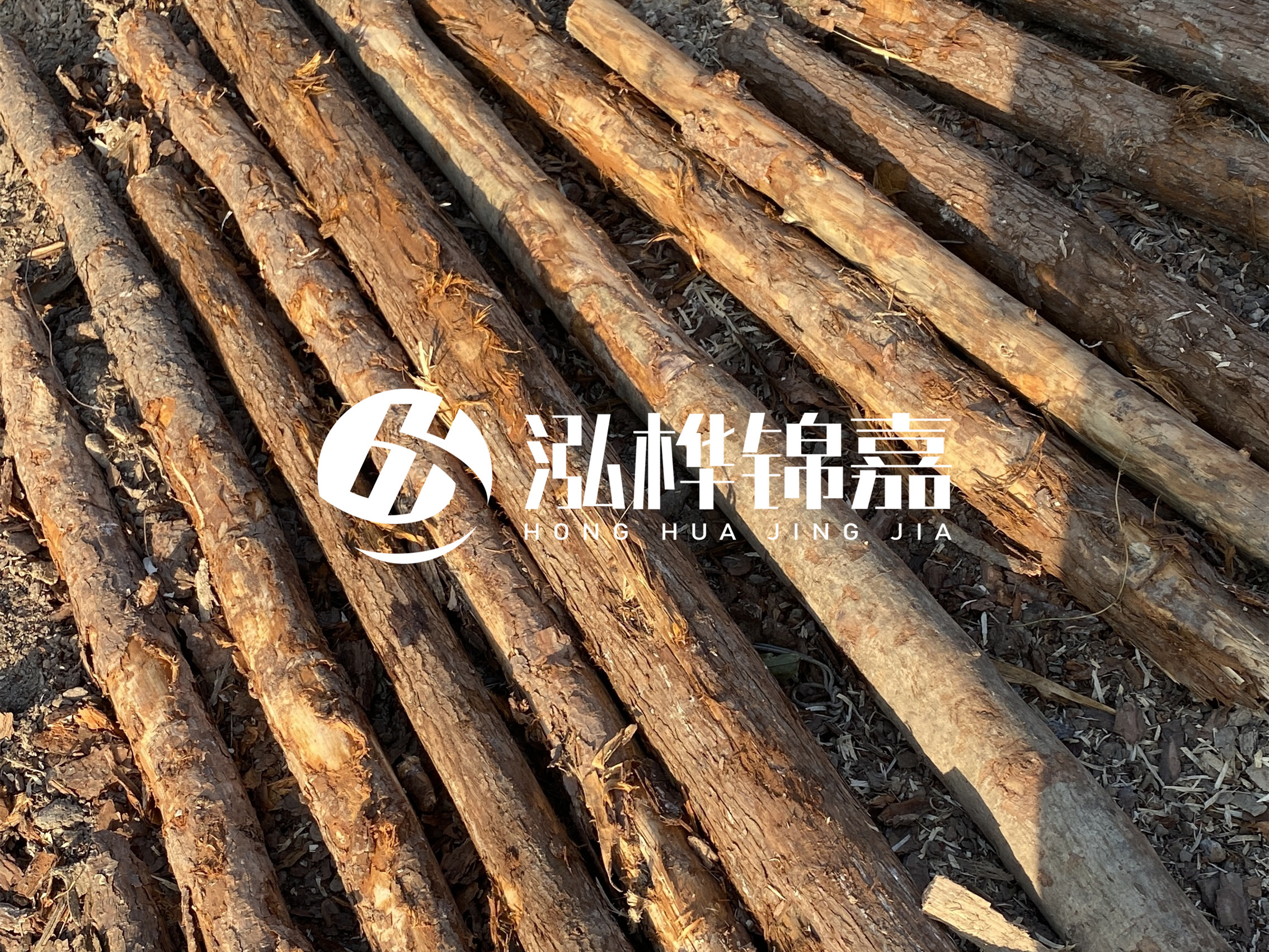 河道木樁多少錢一根?河道木樁的使用以及保養方法?