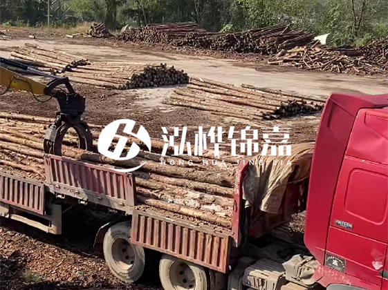 四川松木樁廠家泓樺錦嘉-哪一種打樁木最便宜？