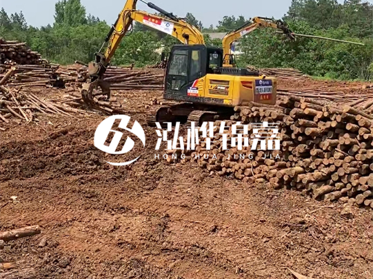 河道松木樁廠家聯(lián)系方式-6米10-15公分價格是多少？