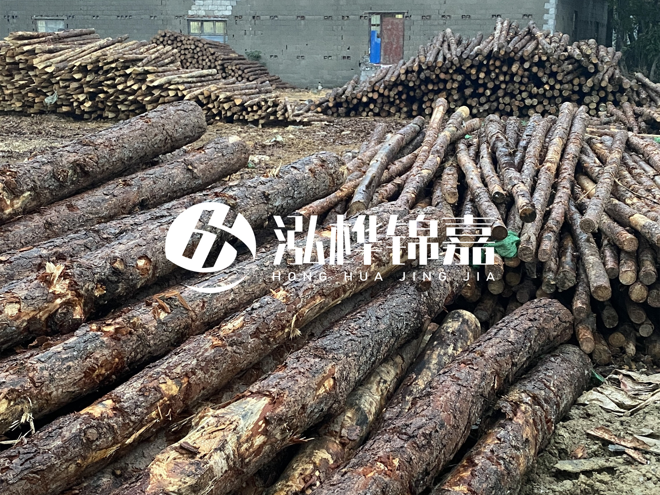 松木樁批發廠家泓樺錦嘉 - 河道松木樁如何選擇優質木材?