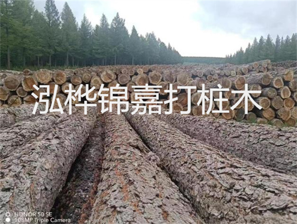 高效施工,圓松木樁助力建筑工程進(jìn)展順利