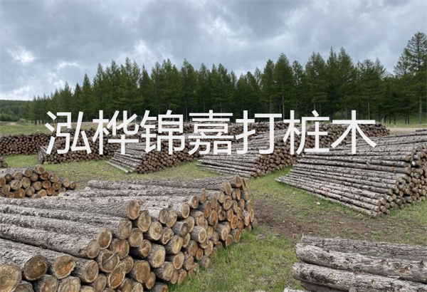 預(yù)制松木樁施工工藝：優(yōu)質(zhì)材料，高效快速，堅固耐用