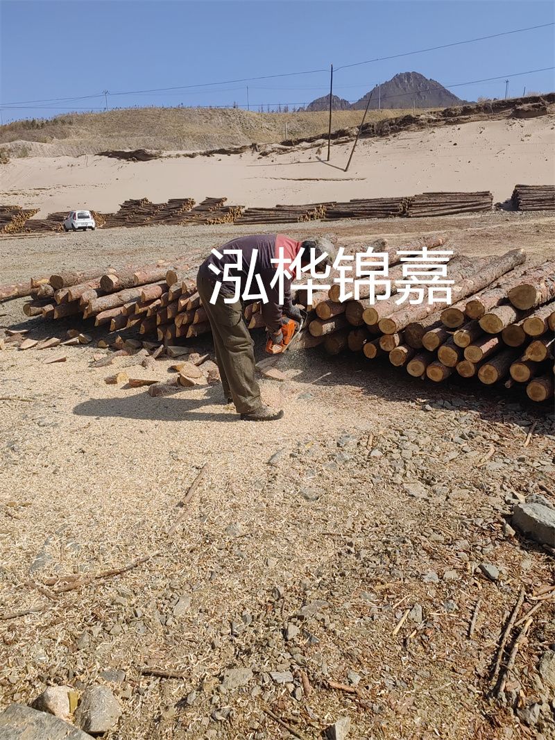 松木樁駁岸施工,打造水上風景線