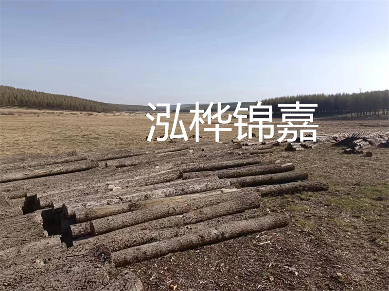 茂名松木樁施工單位，為您提供專業的建筑基礎支撐服務