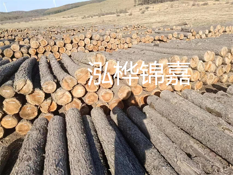 鹽城松木樁河道圍堰施工，保護生態(tài)環(huán)境，打造美麗城市